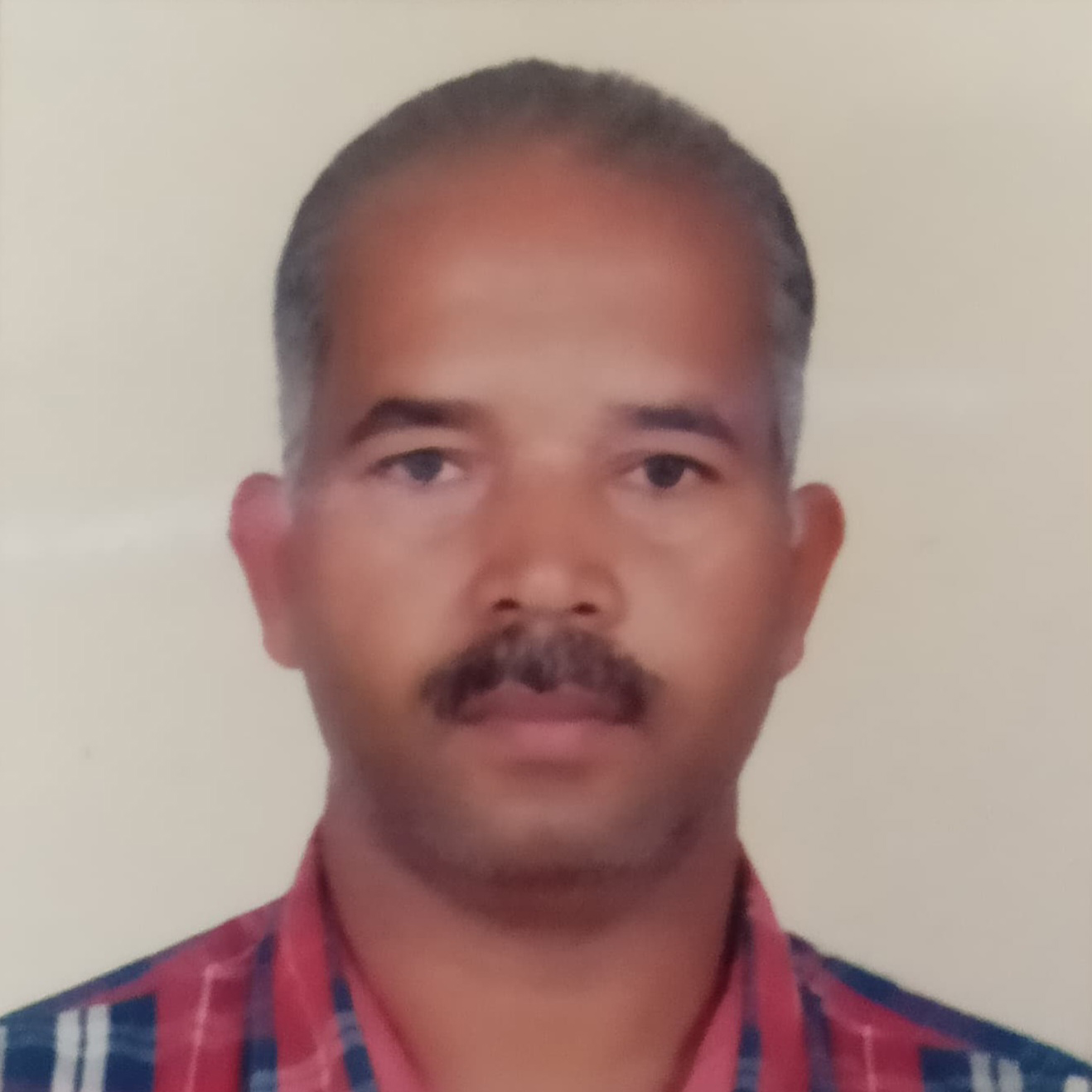 Team Member